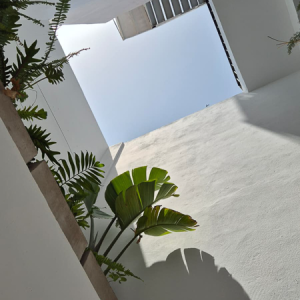 Double room private bathroom Les Terrasses hostel tamraght Ensuite double room with a private patio garden at Les Terrasses Hostel, Tamraght, providing a quiet, protected, and lush outdoor space for maximum privacy in Morocco.